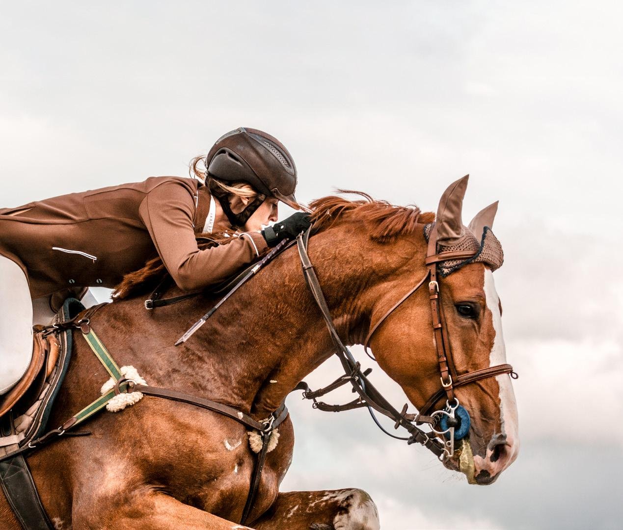 May at Arabian Ranches III